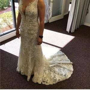 Wedding dress and head veil.  new, great condition